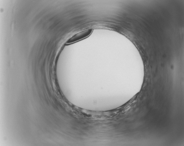 X0000052600289200507292130