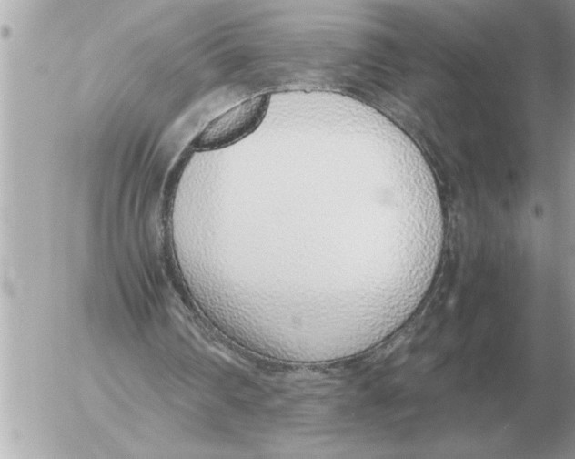 X0000052600290200507292130