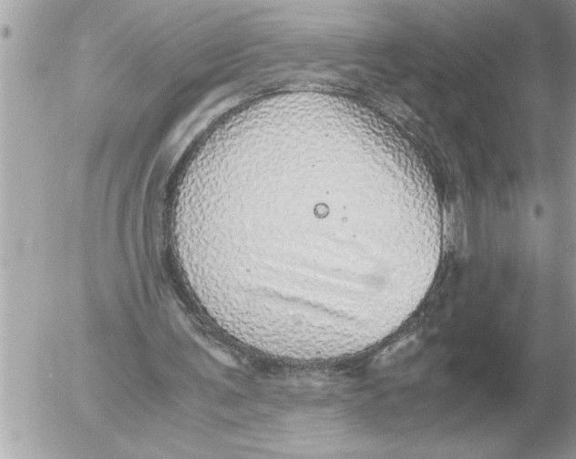 X0000052600291200507292130