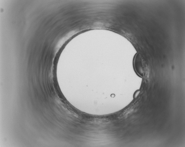 X0000052600292200507292130