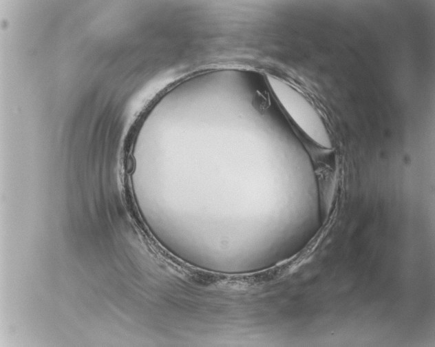 X0000052600294200507292130