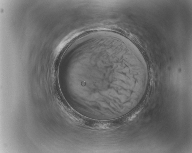 X0000052600295200507292130