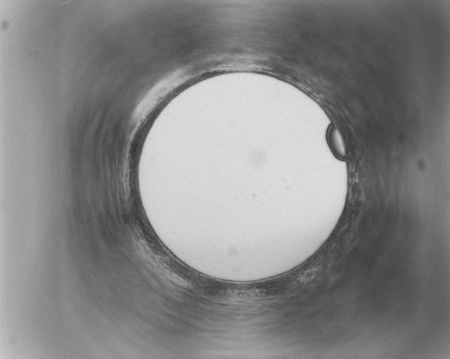 X0000052600296200507292130