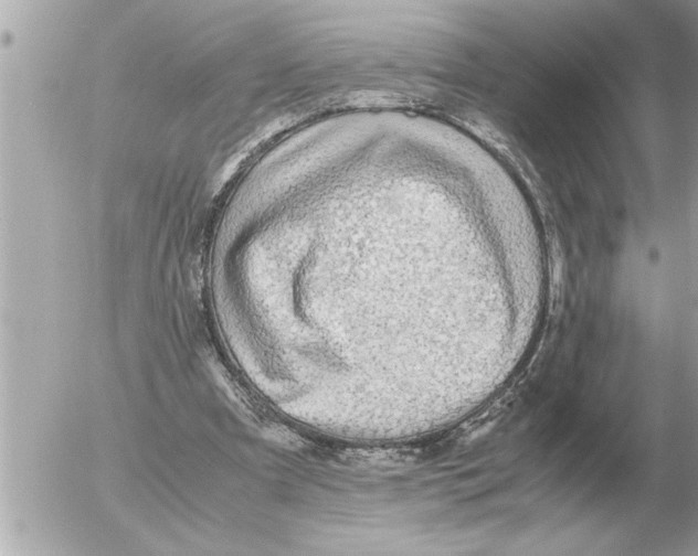 X0000052600297200507292130