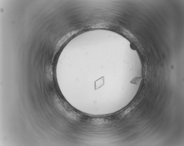 X0000052600298200507292130