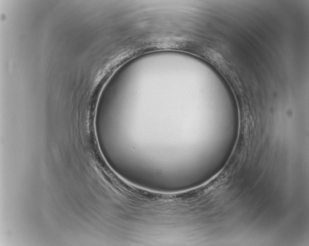 X0000052600299200507292130