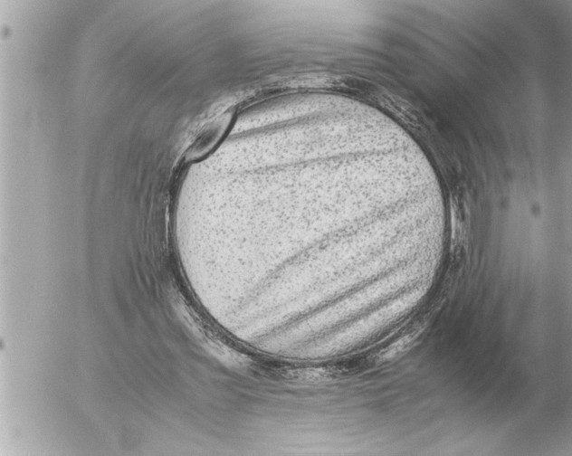 X0000052600301200507292130