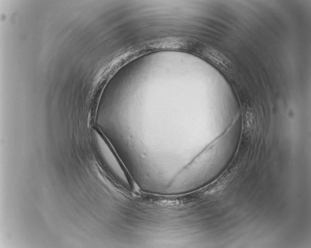 X0000052600302200507292130