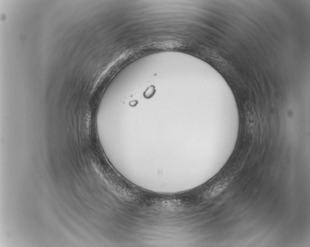 X0000052600304200507292130