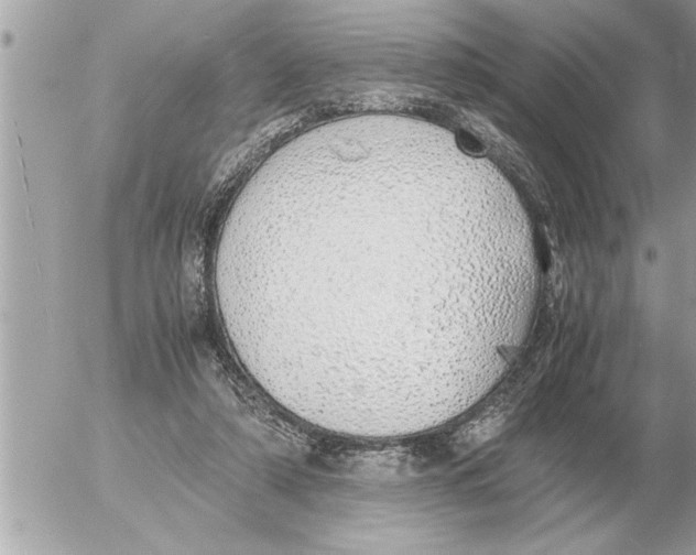 X0000052600306200507292130