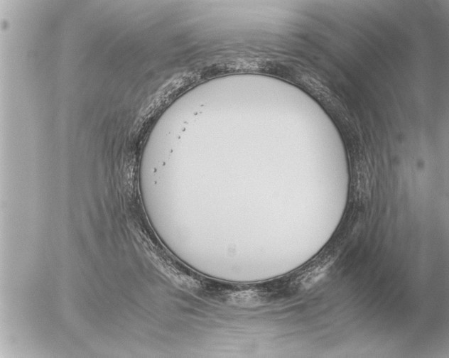 X0000052600309200507292129