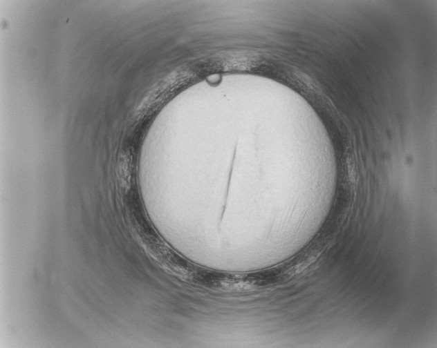 X0000052600311200507292129