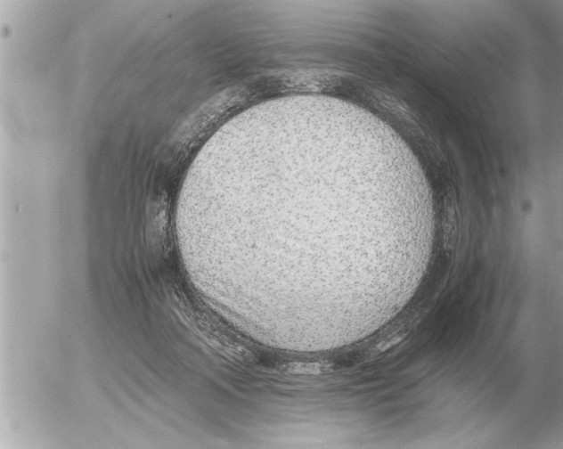 X0000052600314200507292129