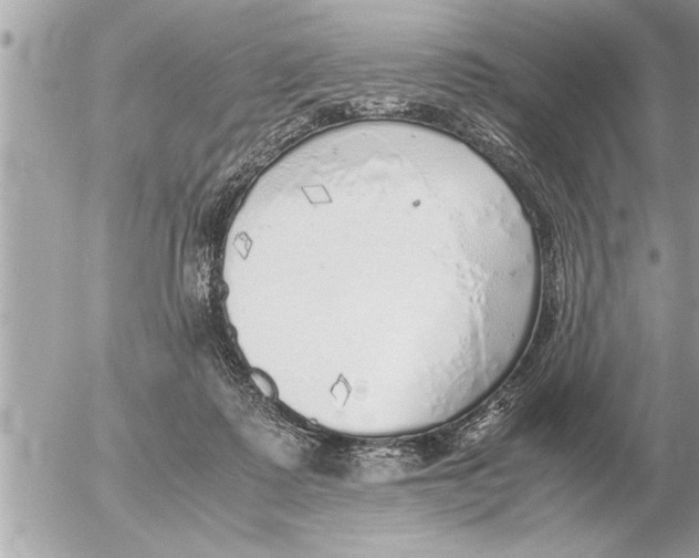 X0000052600315200507292129