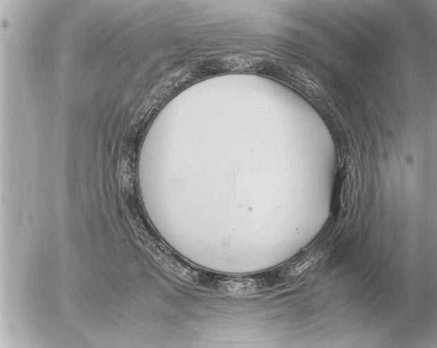 X0000052600317200507292129