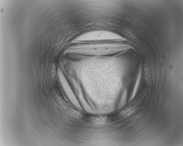 X0000052600318200507292129