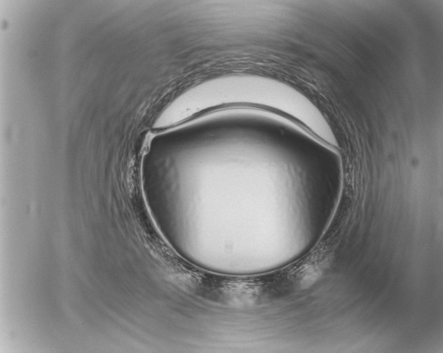 X0000052600319200507292129