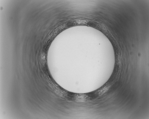 X0000052600321200507292129