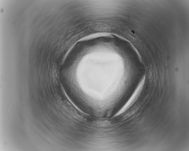 X0000052600322200507292129