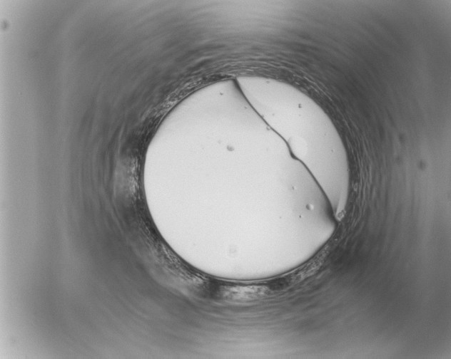 X0000052600323200507292129