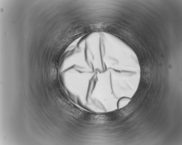 X0000052600324200507292129