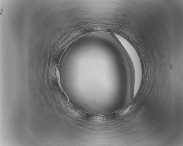 X0000052600325200507292129