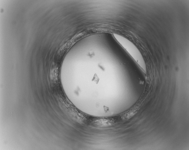 X0000052600326200507292129