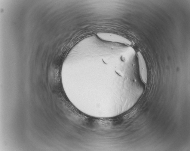 X0000052600327200507292129