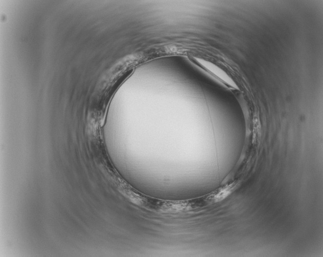 X0000052600329200507292129