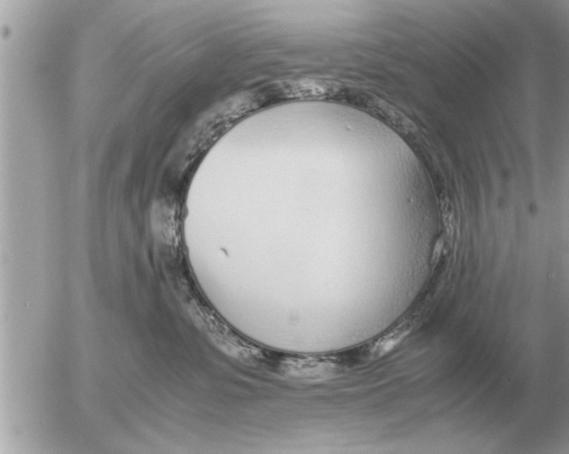 X0000052600331200507292129