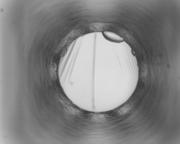 X0000052600332200507292129