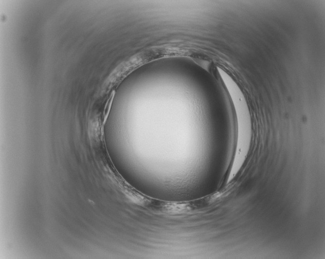 X0000052600333200507292129