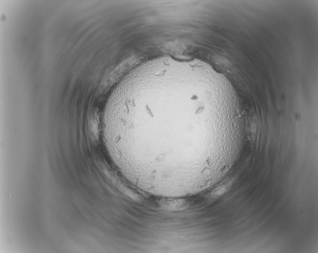 X0000052600334200507292129