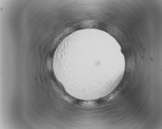 X0000052600335200507292129