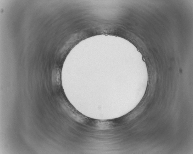 X0000052600336200507292129