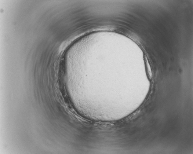 X0000052600337200507292128