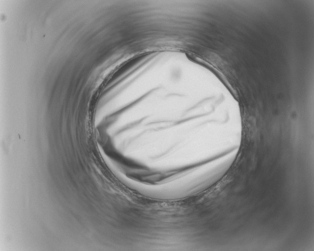 X0000052600338200507292128