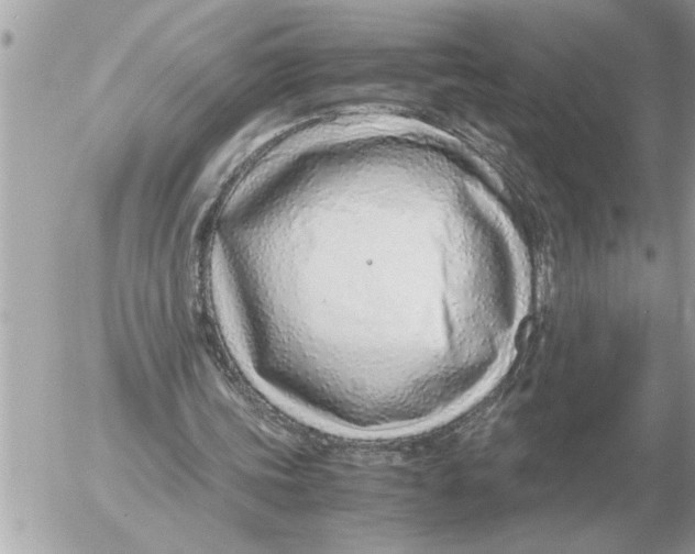 X0000052600339200507292128