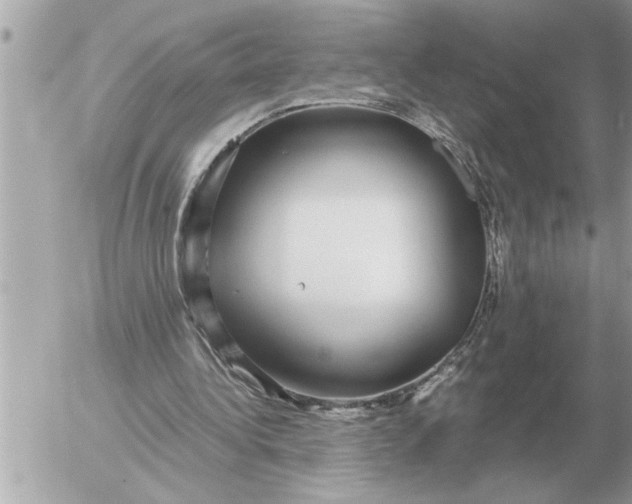 X0000052600340200507292128