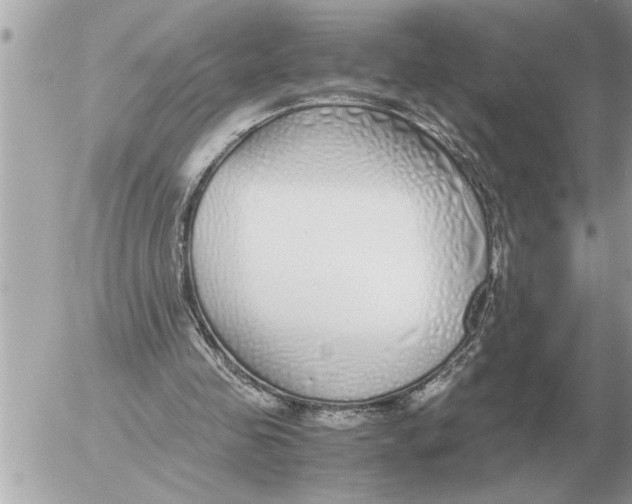 X0000052600341200507292128