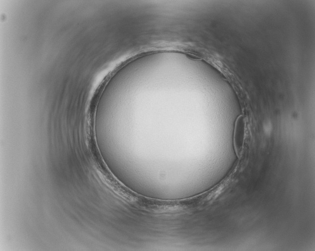 X0000052600342200507292128