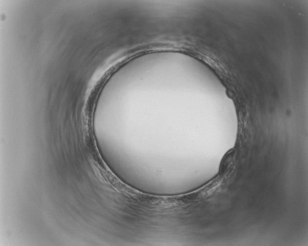 X0000052600343200507292128