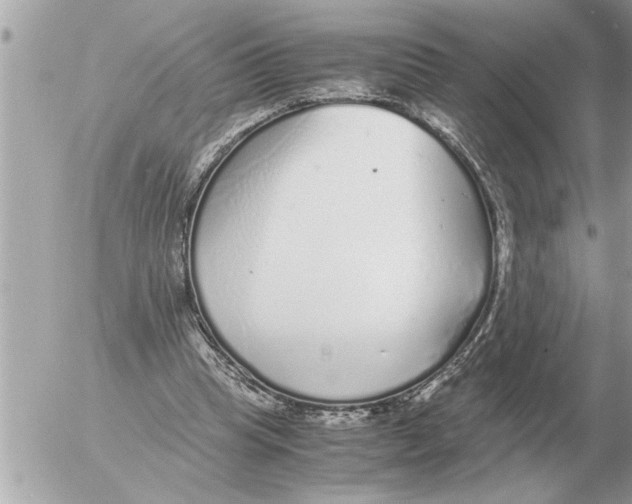 X0000052600345200507292128