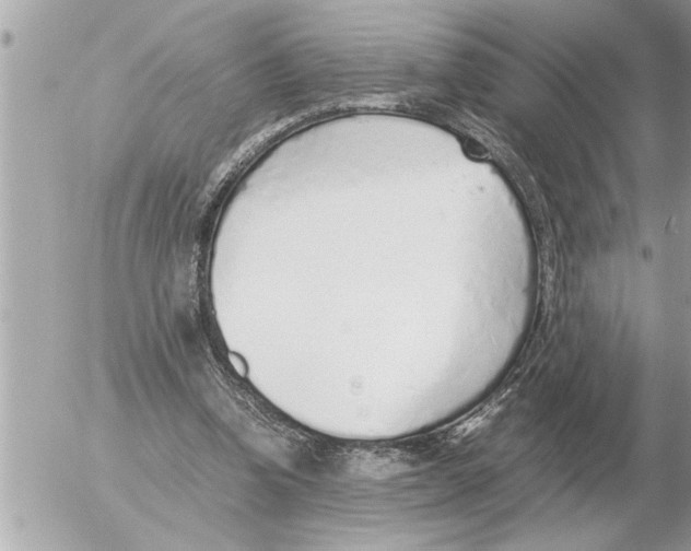 X0000052600346200507292128