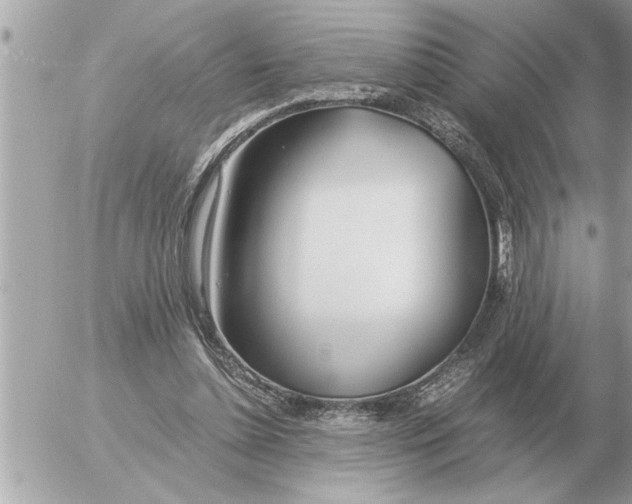 X0000052600348200507292128