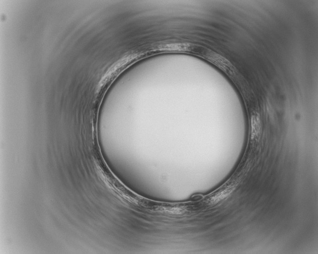 X0000052600349200507292128