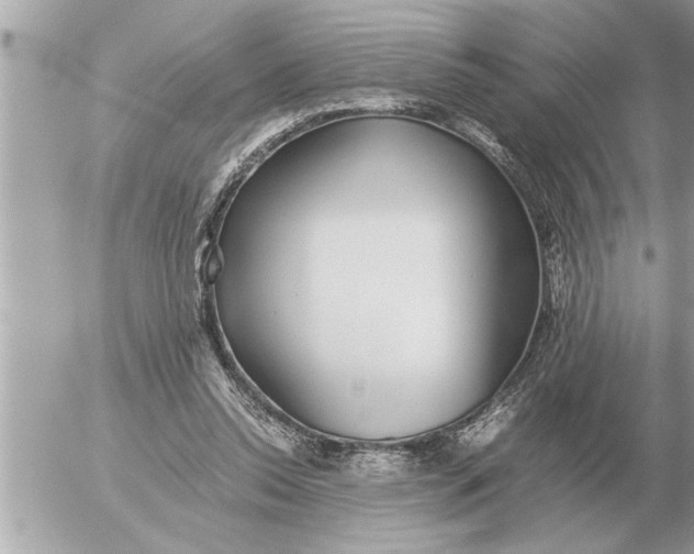 X0000052600350200507292128