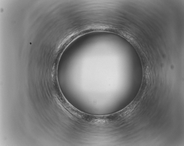 X0000052600352200507292129