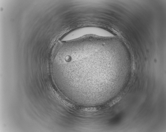 X0000052600353200507292129