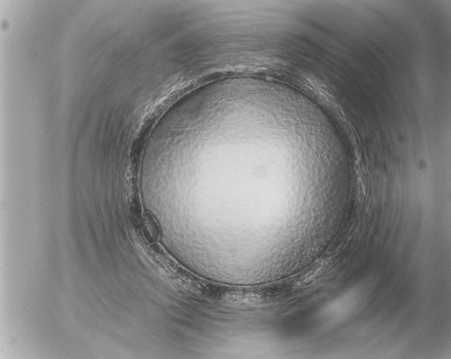 X0000052600354200507292129